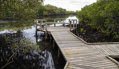 Walk On Water Walking Track - Sydneys Hotel 1