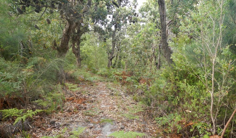 Hat Head NSW Sydneys Hotel