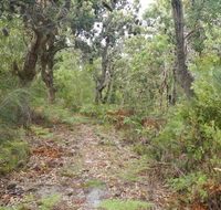 Kinchela Trig Lookout walk - Sydneys Hotel