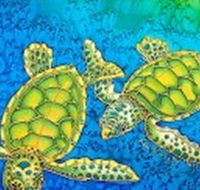 Sea Silks Gallery - Sydneys Hotel