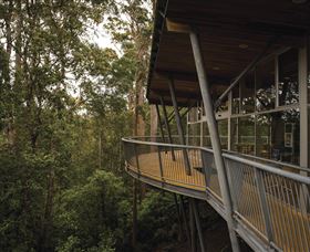 Tarkine Forest Adventures - Dismal Swamp - Sydneys Hotel 0