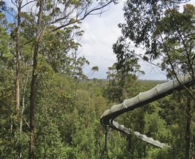 Tarkine Forest Adventures - Dismal Swamp - Sydneys Hotel 1