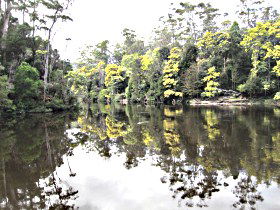 Arthur River - Sydneys Hotel 0