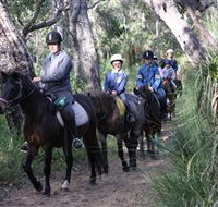 Mirravale Horse Riding School - Sydneys Hotel
