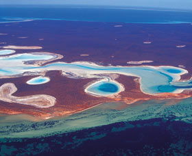 Big Lagoon - Sydneys Hotel 1