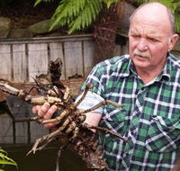Lobster Ponds - Sydneys Hotel
