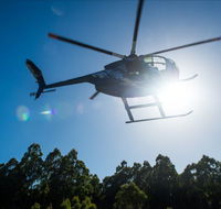 Tall Timbers Adventure Tours - Sydneys Hotel