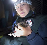 Naturewise at Tidbinbilla - Sydneys Hotel