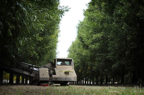 ODempseys Charters And Tours - Sydneys Hotel 1