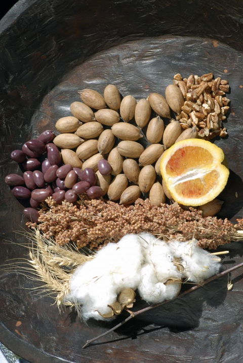 ODempseys Charters And Tours - Sydneys Hotel 2