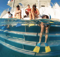 Australian Sunset Safaris - Sydneys Hotel