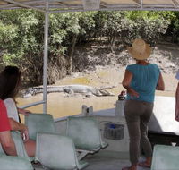 Whitsunday Crocodile Safari - Sydneys Hotel
