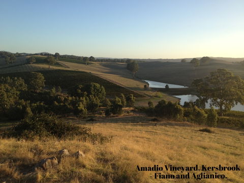 La Prova Wines - Sydneys Hotel 3