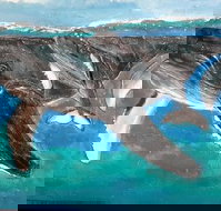 Kaz Art-Whitewash Gallery - Sydneys Hotel