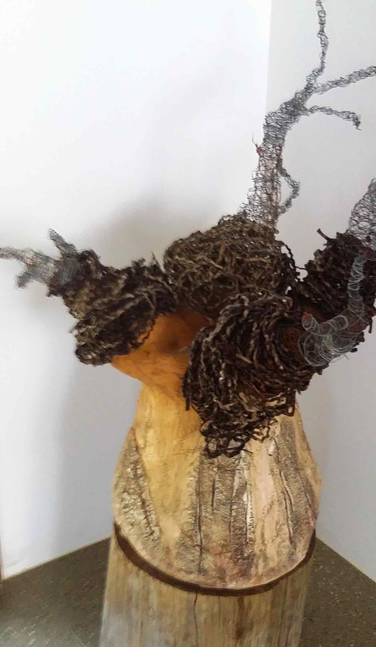 Caldera Wildscapes Gallery - Sydneys Hotel 0