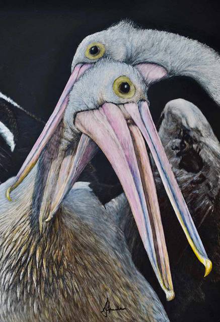 Caldera Wildscapes Gallery - Sydneys Hotel 1
