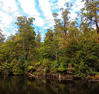 A R Reflections River Cruises - Sydneys Hotel