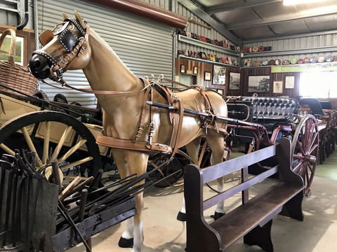 Yamba Tours And Charters - Sydneys Hotel 9
