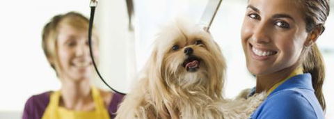 Port Stephens Pet Barn - Sydneys Hotel 1