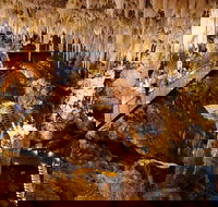 Jewel Cave Fully-guided Tour