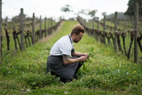 Vasse Felix Epicurean Tour And Tasting Experience With 5 Course Lunch - Sydneys Hotel 9