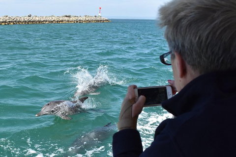 Mandurah Dolphin Island Adventure - Sydneys Hotel 0