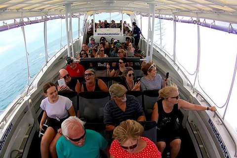 Mandurah Dolphin Island Adventure - Sydneys Hotel 12