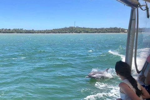 Mandurah Dolphin Island Adventure - Sydneys Hotel 9