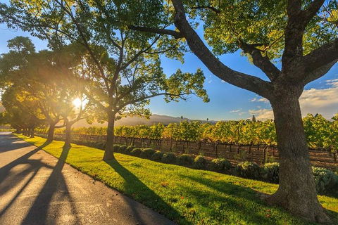 VIP Swan Valley Wine Tour - Premium Small Group Wine & Gourmet Experience - Sydneys Hotel 1