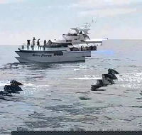 Busselton Whale Watching Eco Tour