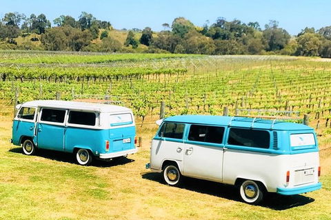 VW Kombi Wine Tour In The Swan Valley - Sydneys Hotel 6