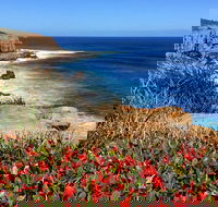 Cape to Cape End-to-End 8 Day Walking Experience