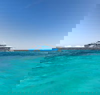 Rottnest Island Settlement Explorer Segway Package from Fremantle