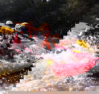 Whitewater Sports rafting on the Yarra river - Sydneys Hotel