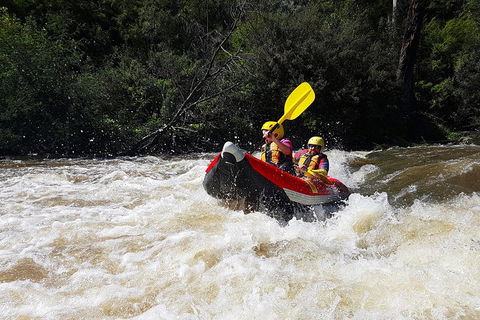 White-Water Kayaking On The Yarra River - Sydneys Hotel 1