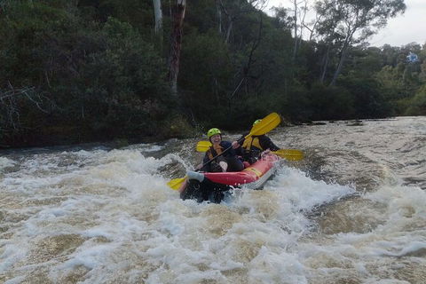 White-Water Kayaking On The Yarra River - Sydneys Hotel 5