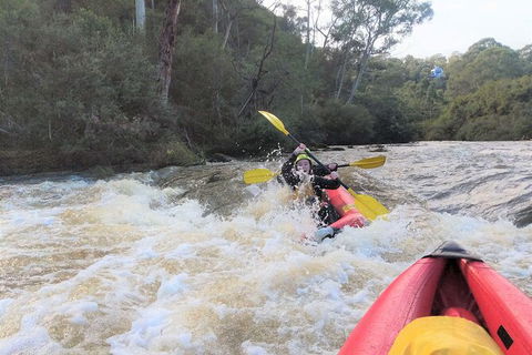 White-Water Kayaking On The Yarra River - Sydneys Hotel 3
