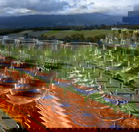 Yarra Valley Local Produce and Wine Tasting Tour - Sydneys Hotel