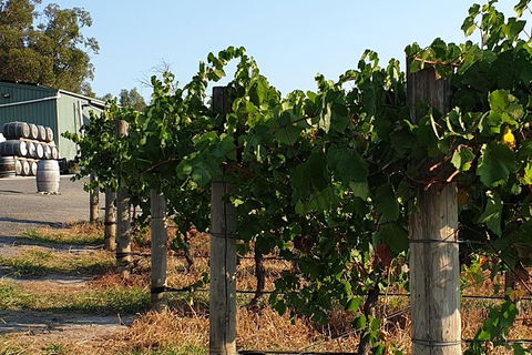 Wine Tasting Tour In The Yarra Valley - Sydneys Hotel 2
