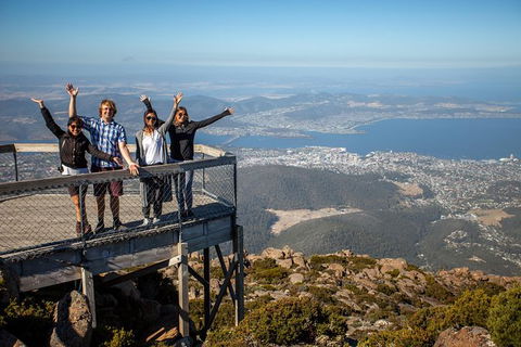 Mt Field National Park Active Day-Trip Including Bonorong And Mt Wellington - Sydneys Hotel 0