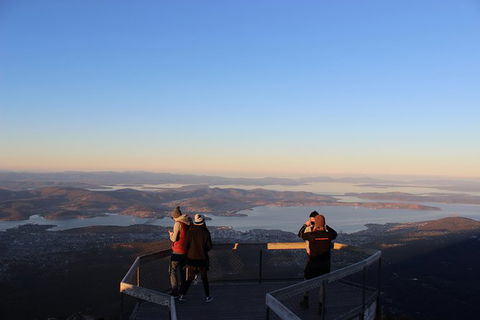 Mt Field National Park Active Day-Trip Including Bonorong And Mt Wellington - Sydneys Hotel 7