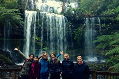 Mt Field National Park Active Day-Trip Including Bonorong And Mt Wellington - Sydneys Hotel 9