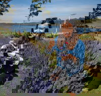 Port Arthur and Lavender Farm Active Day Tour - Sydneys Hotel