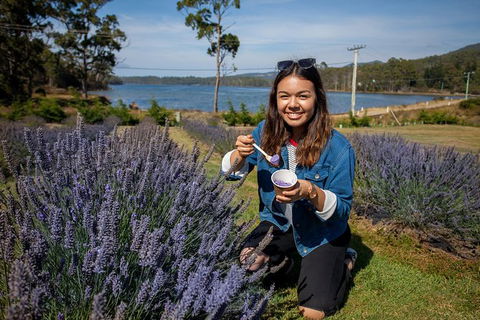 Port Arthur And Lavender Farm Active Day Tour - Sydneys Hotel 0