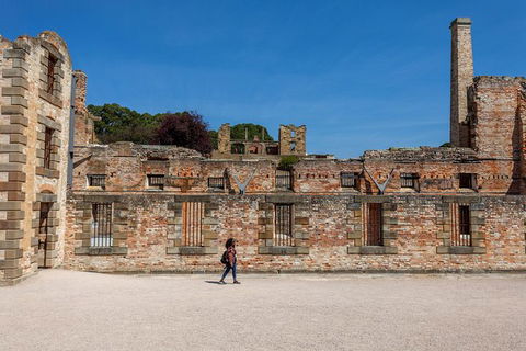 Port Arthur And Lavender Farm Active Day Tour - Sydneys Hotel 1
