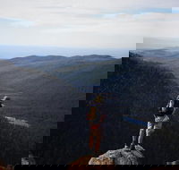 Mount Field National Park - Tarn Shelf  Russell Falls - Guided Hiking Tour - Sydneys Hotel