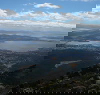 Mount Wellington Tour from Hobart - Sydneys Hotel