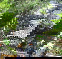 Mt Field National Park and Russell Falls from Hobart - Sydneys Hotel