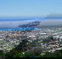 Hobart Shore Excursion Small Group Mount Wellington 3-Hour Bike Tour - Sydneys Hotel