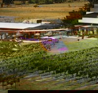 Home Hill Winery Helicopter Tour - Sydneys Hotel